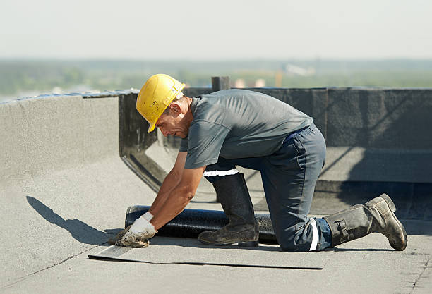 Best Insulation Replacement Services  in Reno, NV